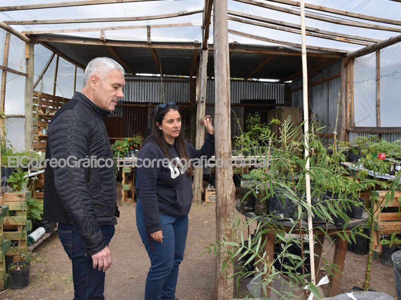 Entrega de frutales a productores agroecológicos Entrega de frutales a productores agroecologicos 2
