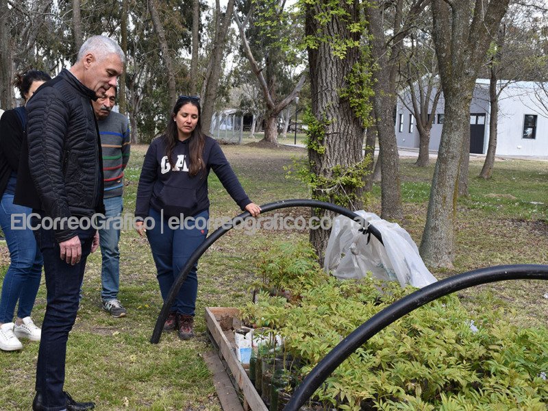 Entrega de frutales a productores agroecologicos 3