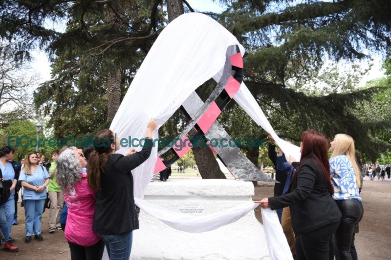 En el Dia de Lucha contra el Cancer de Mama inauguraron un monumento al lazo rosa 2