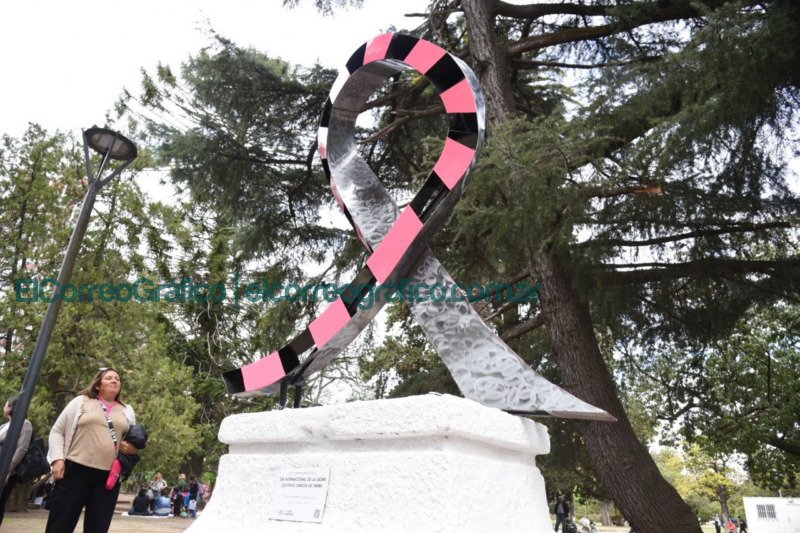 En el Dia de Lucha contra el Cancer de Mama inauguraron un monumento al lazo rosa 4