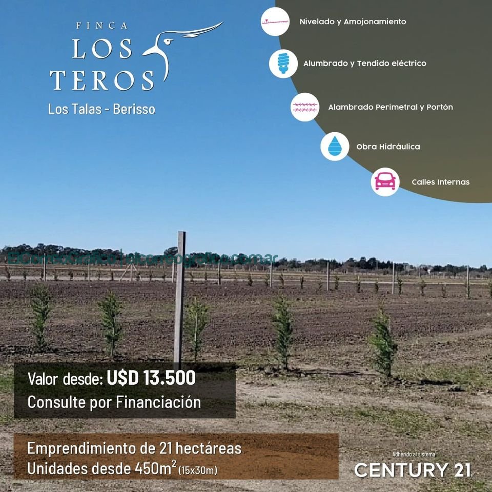 Finca Los Teros Los Talas inmobiliarias 5