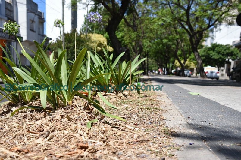 La Plata convierte los restos de poda en abono y los vecinos pueden buscarlo en el Parque Ecologico 1