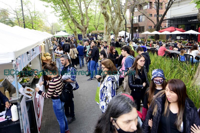 La tradición, más viva que nunca: miles de personas participaron de la Fiesta del Alcaucil La tradicion mas viva que nunca miles de personas participaron de la Fiesta del Alcaucil 1