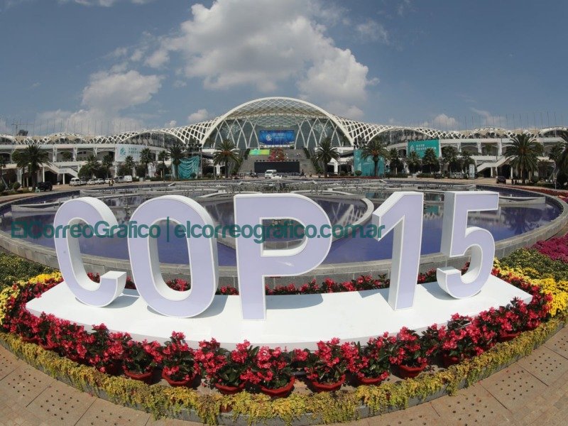 COP 15 Acuerdo historico a favor de la biodiversidad mundial