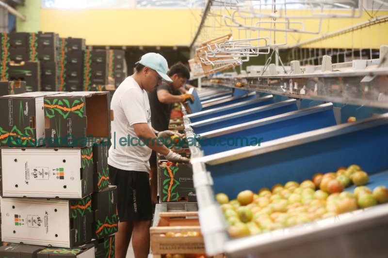 Garro visitó el cordón frutihortícola platense Garro visito el cordon frutihorticola platense 2