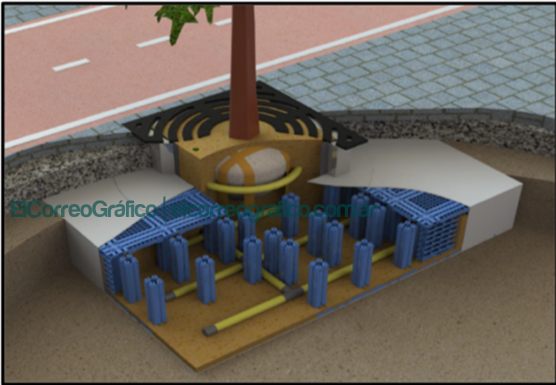 Biodiversidad 3 conclusiones para entender y acercar las ciudades a la naturaleza Amanco Wavin tree tank 2