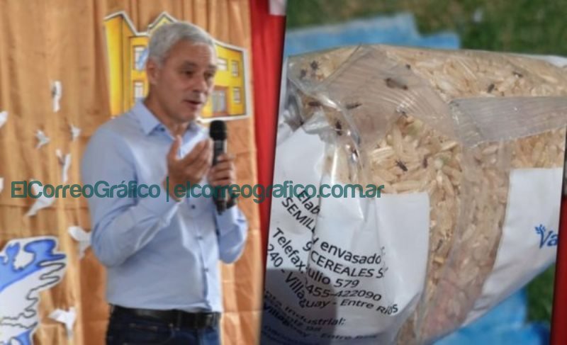 SAE Berisso: Fabián Cagliardi entregó arroz con gorgojos a comedores de escuelas Fabián Cagliardi entrego arroz con gorgojos a comedores de escuelas 2
