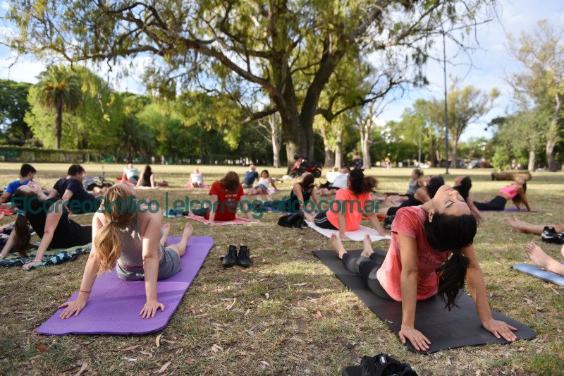 Ciudad en Movimiento 24 clases 9 disciplinas y 7 espacios verdes gratuitas 1