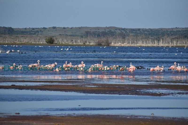 Mar Chiquita: Ambiente bonaerense realizará actividades por el mes de los humedales Mar Chiquita Ambiente bonaerense realizara actividades por el mes de los humedales