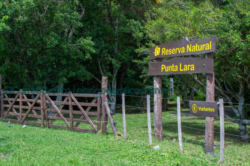 Reserva Natural Punta Lara 1