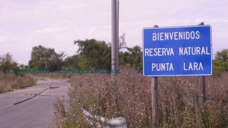 Ambientalistas alertan sobre la repavimentación del "Camino Negro" en Punta Lara, una zona protegida Ambientalistas alertan sobre la repavimentacion del Camino Negro en Punta Lara una zona protegida 4