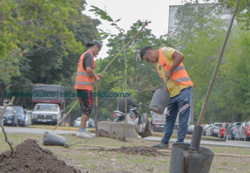 La Plata avanza con nuevos corredores verdes 1