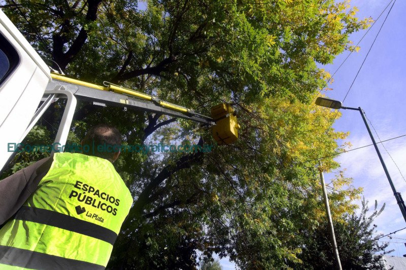 El Municipio de La Plata dio inicio al Plan de Poda 2023 El Municipio de La Plata dio inicio al Plan de Poda 2023 2