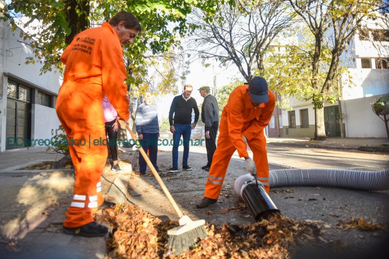 La Plata sumó nuevas máquinas aspiradoras para recolectar la hojarasca La Plata sumó nuevas máquinas aspiradoras para recolectar la hojarasca 1
