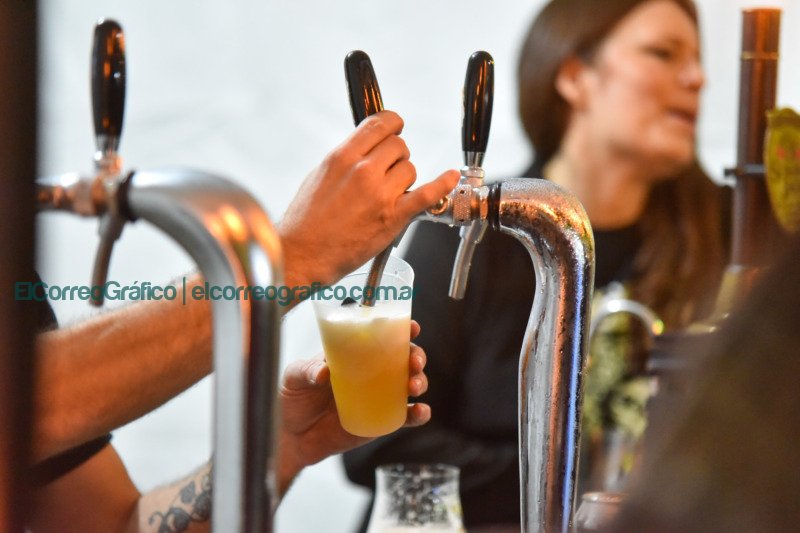 Festival de la Cultura Cervecera Platense con más de 10 mil personas disfrutaron del Más de 10 mil personas disfrutaron del Festival de la Cultura Cervecera Platense 1