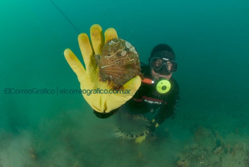 Nuevos circuitos que vinculan el Patrimonio Innmaterial de Puerto Pirámides Díaz de Pesca (1)