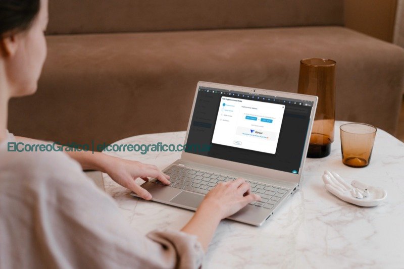 Trabajar para el exterior, cobrar en dólares y recibir pesos al blue es posible Bitwage + Vibrant