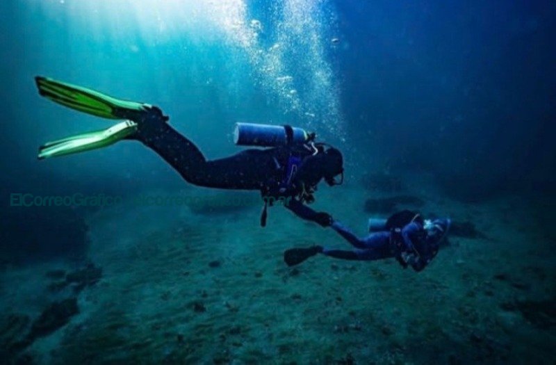 Descubriendo un mundo submarino en Puerto Pirámides 1