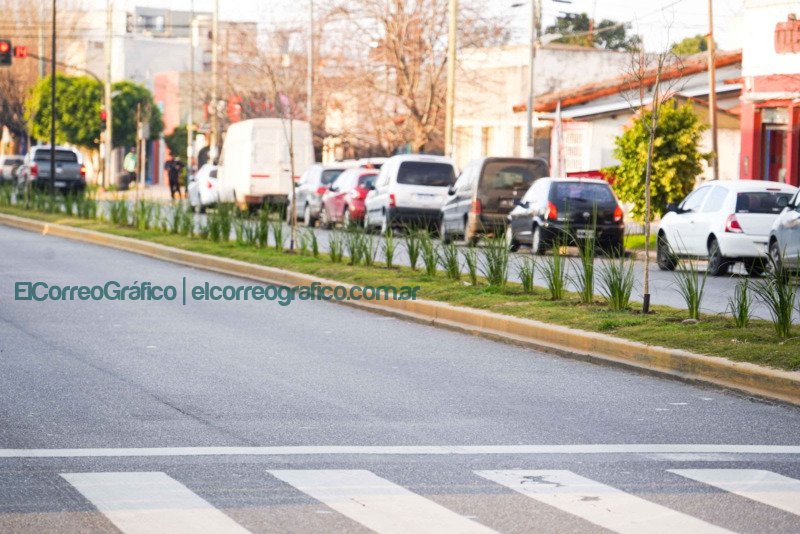 En La Plata se plantaron más de 10 mil ejemplares en lo que va del año En La Plata se plantaron más de 10 mil ejemplares en lo que va del año 1