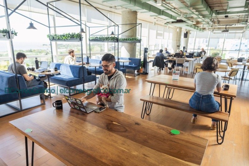 WeWork Argentina Edificio Libertador En Argentina, brecha de género en trabajo formal es del 27%, y en el informal se dispara al 35,6% 1