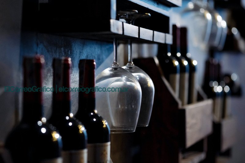 La Noche de las Vinotecas 2023: Descuentos, degustaciones y más en La Plata La Noche de las Vinotecas. Descuentos, degustaciones y más en La Plata La Plata se consolida como destino turístico con un incremento del 19% en la oferta hotelera