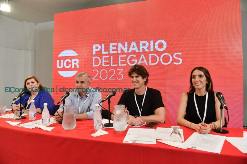 Martín Lousteau: Nuevo Presidente de la UCR y los desafíos de la renovación Martín Lousteau, Nuevo Presidente de la UCR y los desafíos de la renovación 3
