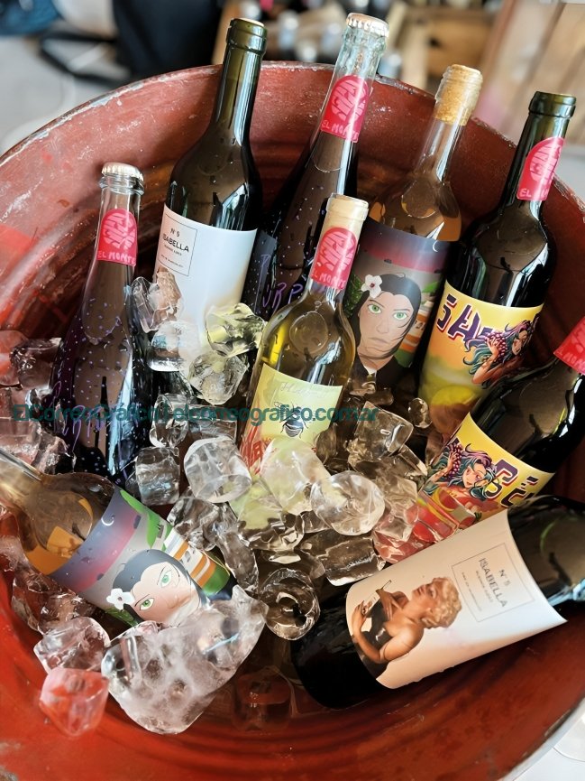 Vinos de Berisso, Rescatando el terruño y la tradición centenaria en la Provincia de Buenos Aires Sebastián Casali 4