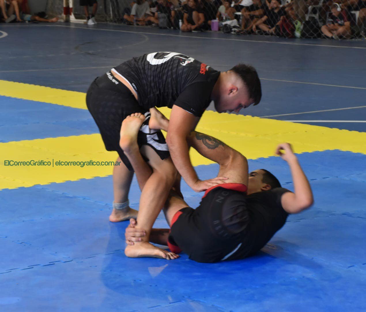 Primera Edición del Circuito Nacional de Jiu Jitsu en Berisso 6