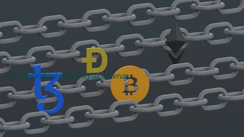Blockchain: Una Revolución Transparente en la Distribución de Subsidios en Argentina a chain link fence Blockchain: Una Revolución Transparente en la Distribución de Subsidios en Argentina