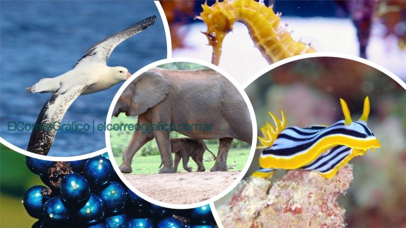 Un sitio web que ayuda a valorar la naturaleza JW.ORG Testigos de Jehová