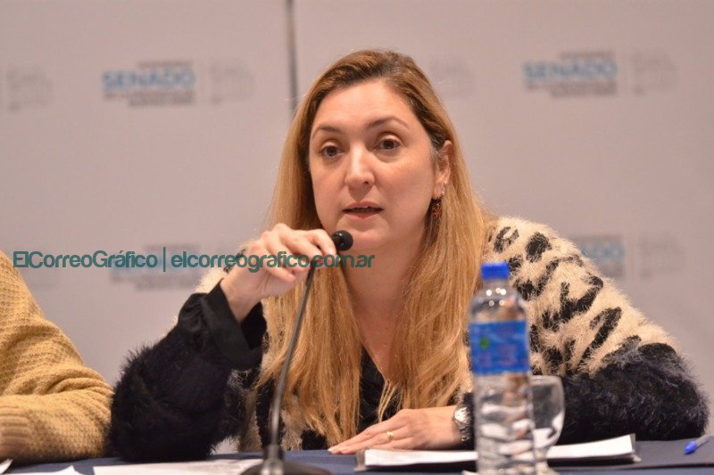 Ahumada repudió la eliminación de la repitencia en escuelas secundarias: "Compromete la Formación" Ahumada repudió la eliminación de la repitencia en escuelas secundarias