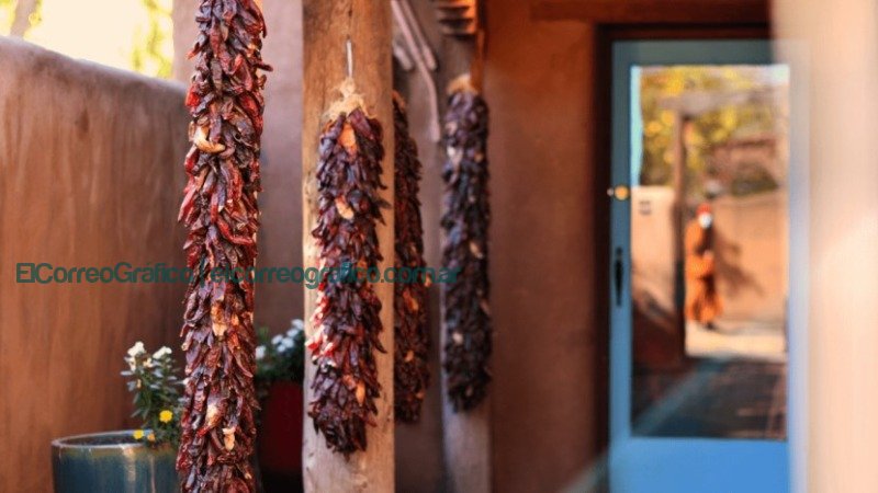 Día de la Gastronomía Sostenible. Compromiso con la sustentabilidad y el Medio Ambiente 02