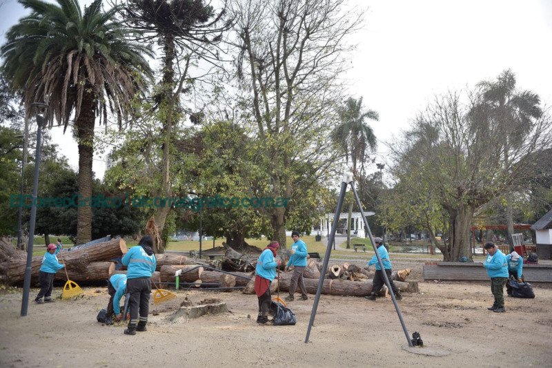 Operativo de limpieza y renovación en el Parque Saavedra de La Plata 1