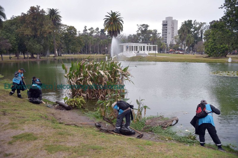 Operativo de limpieza y renovación en el Parque Saavedra de La Plata 3