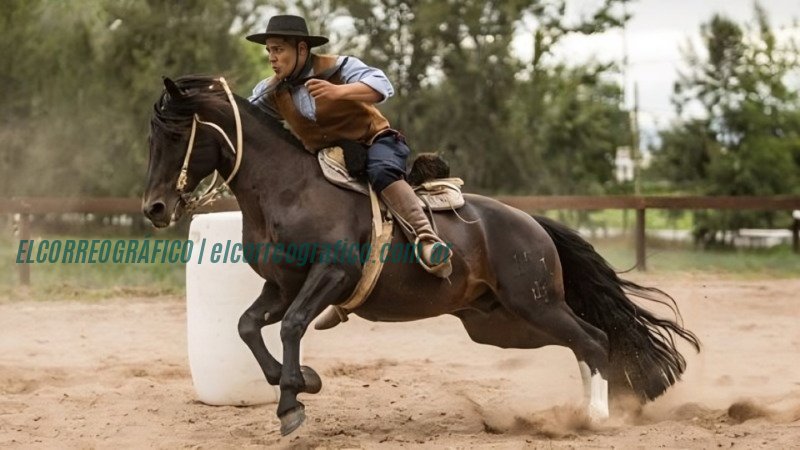 Caballo Criollo recibe la denominación Marca País en la Exposición Rural 2024 3