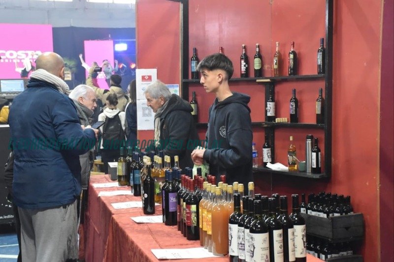 Fiesta del Vino de la Costa de Berisso: Un éxito de tradición y comunidad Fiesta del Vino de la Costa de Berisso. Un éxito de tradición y comunidad 09