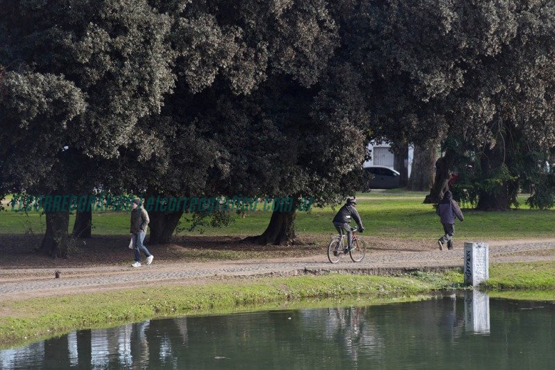 Reacondicionamiento del Parque Saavedra para el disfrute de los vecinos 4