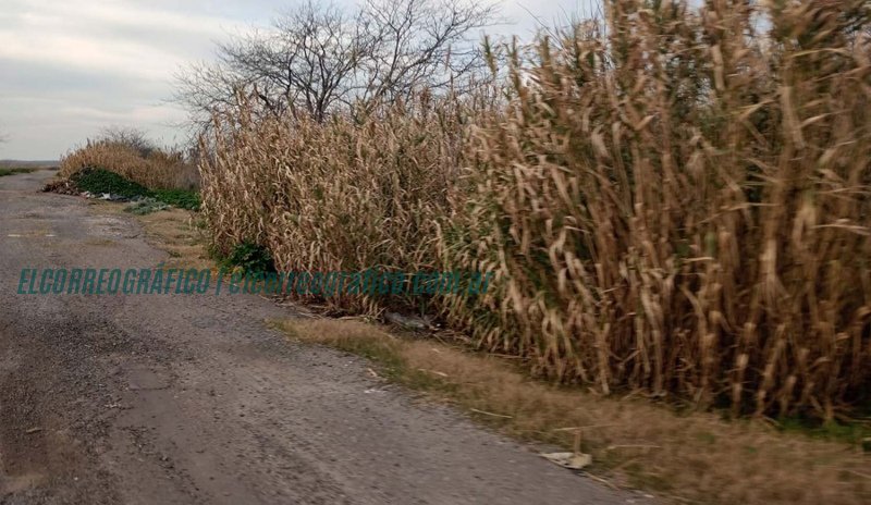 Proponen transformar El Camino Negro que une Villa Elisa y Punta Lara en un espacio de ecoturismo 1
