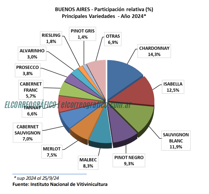 Buenos Aires varietales El crecimiento del vino bonaerense. un recorrido por su historia, presente y futuro