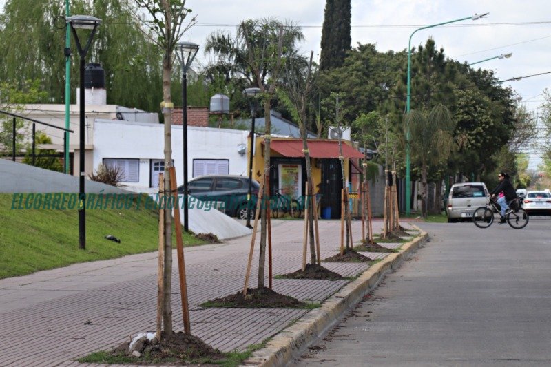 Oxbow Argentina contribuye al desarrollo sostenible de Ensenada con la donación de 300 árboles 1