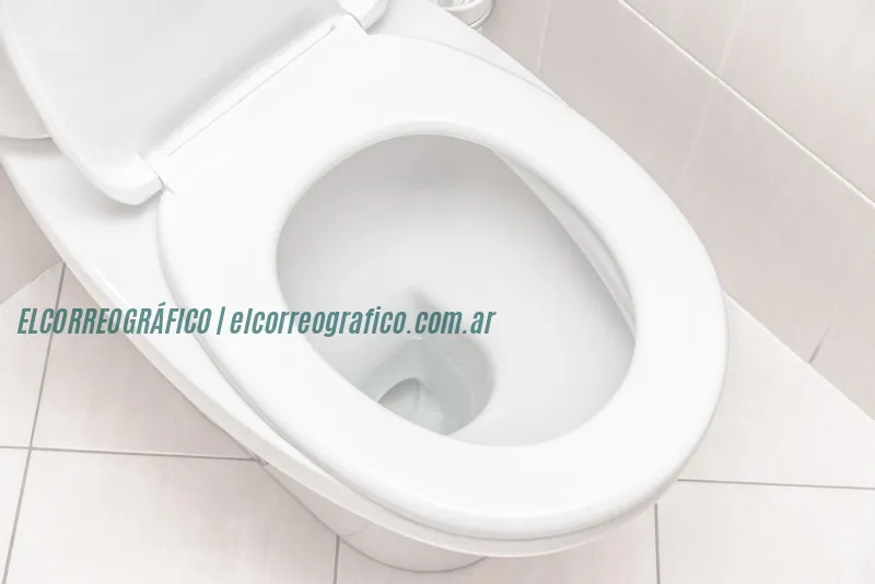 clean toilet in the bathroom. restroom.