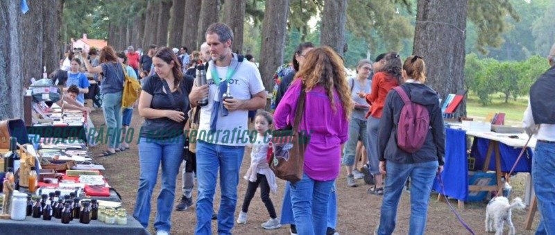 Escápate a Saladillo el fin de semana largo: La Feria FAROL ilumina el pueblo del millón de árboles Escápate a Saladillo el fin de semana largo. La Feria FAROL ilumina el pueblo del millón de árboles