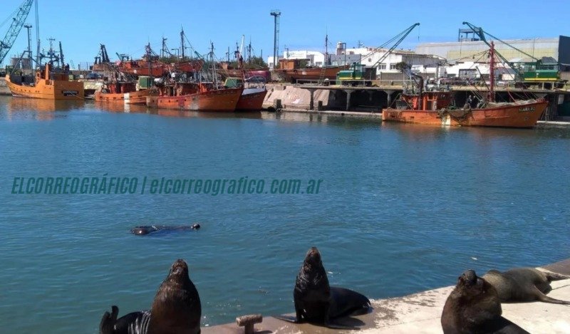 Mar del Plata: todo lo que necesitás para unas vacaciones inolvidables Mar del Plata, todo lo que necesitás para unas vacaciones inolvidables