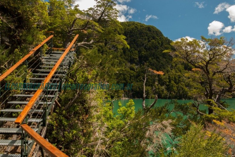 PNLA Alerzal Milenario Parque Nacional Los Alerces