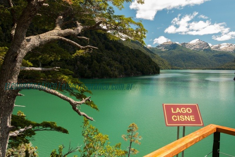 PNLA Alerzal Milenario Rio Cisne_