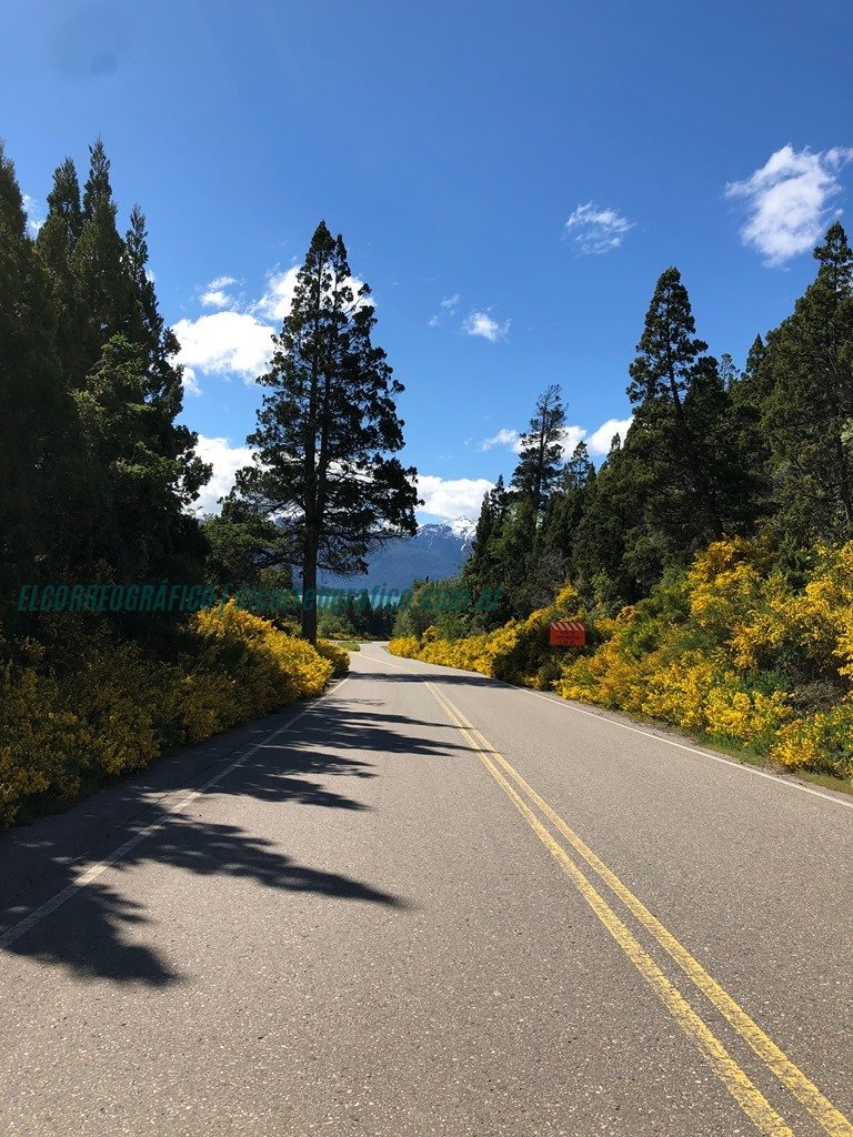 PNLA ruta 71 Parque Nacional Los Alerces. Un tesoro natural en la Patagonia