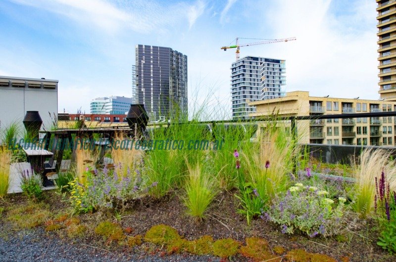 La importancia de la biodiversidad en las ciudades: medidas para un futuro sostenible Biodiversidad La importancia de la biodiversidad en las ciudades, medidas para un futuro sostenible 5
