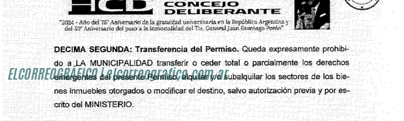 Controversia por cabañas en La Balandra, vecinos cuestionan gestión de Fabián Cagliardi