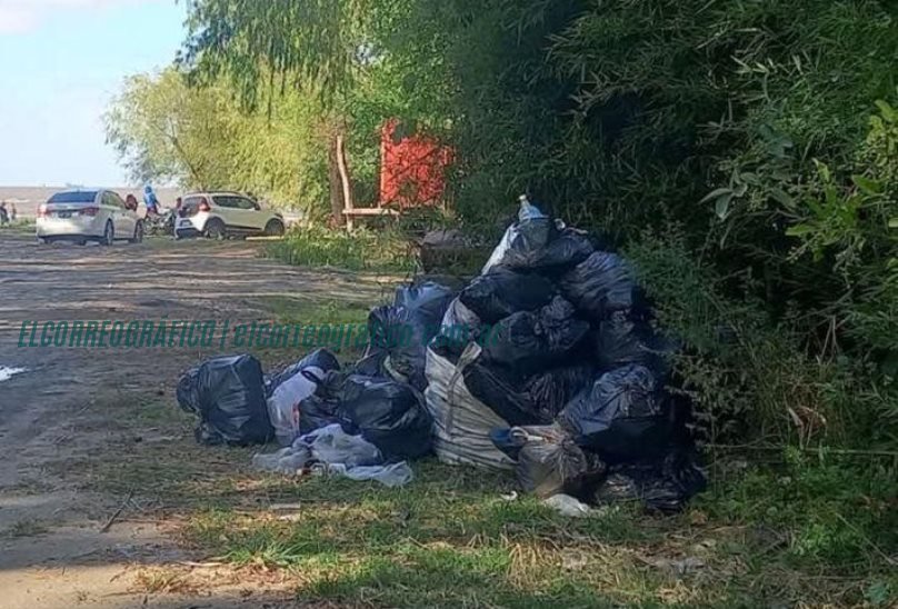 Recolección de basura en Berisso: La gestión de Cagliardi es un desastre Recolección de basura en Berisso, La gestión de Cagliardi es un desastre 1
