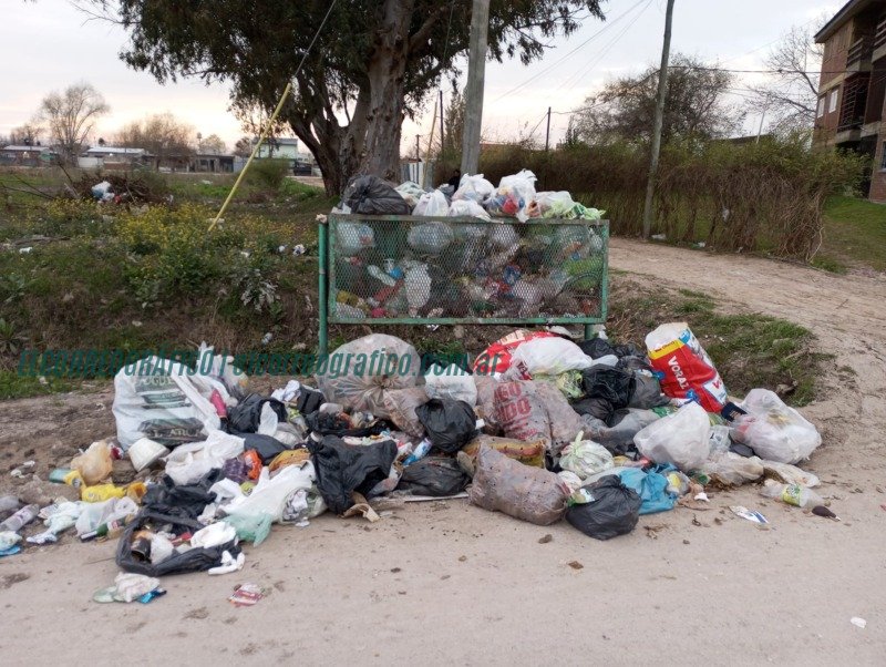 Alerta sanitaria en Berisso: la flota "detonada" de Cagliardi obliga a usar camionetas para recolectar basura Recolección de basura en Berisso, La gestión de Cagliardi es un desastre 2